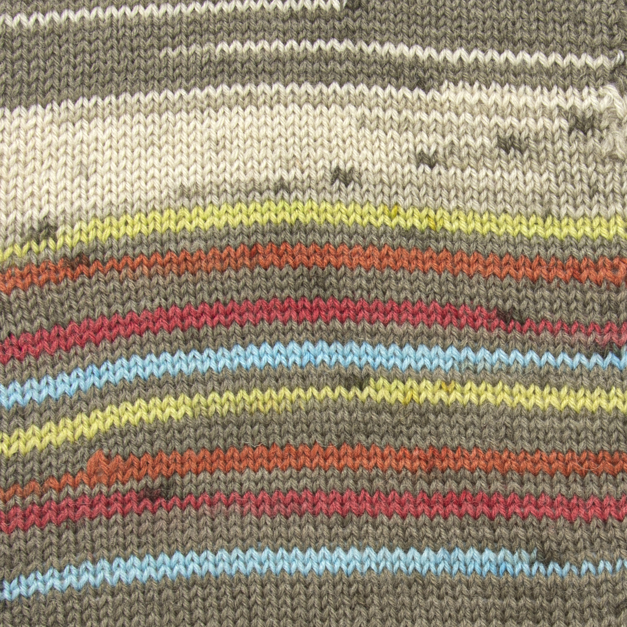 Forza Forever - 2714 - Görsel 3